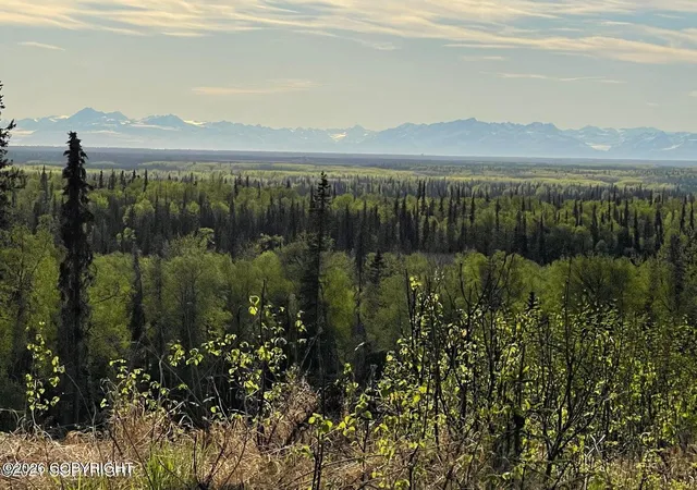 2nd image of 40745 Frogberry St, Kenai, AK 99611 | MLS# 26-4784