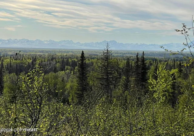 4th image of 40745 Frogberry St, Kenai, AK 99611 | MLS# 26-4784