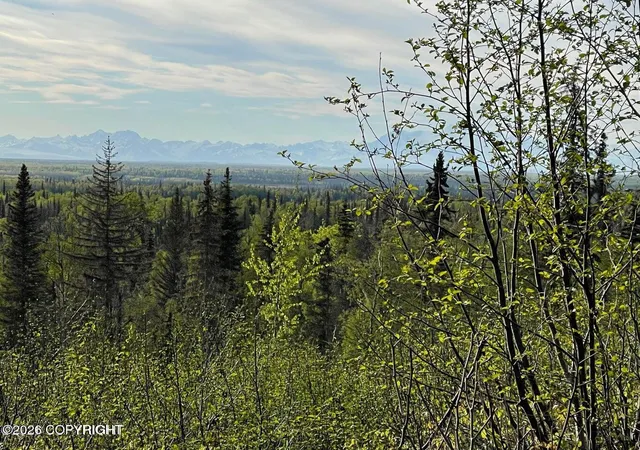 5th image of 40745 Frogberry St, Kenai, AK 99611 | MLS# 26-4784