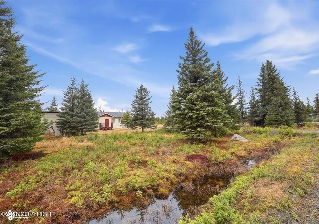 Homes for sale in Anchor Point, AK | 33665 Birch Street Street, Anchor Point, AK 99556 | MLS# 26-4806