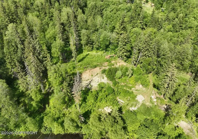 Homes for sale in Haines, AK | Lot 23 26 Mi Hns Hwy, Haines, AK 99827 | MLS# 26-4824