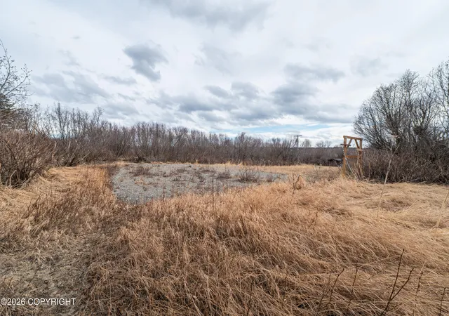 Photo 3 of Land for sale at 67380 Halibut Rd, Ninilchik, AK 99639 | MLS# 26-4889 | Listing updated on 2026-07-25
