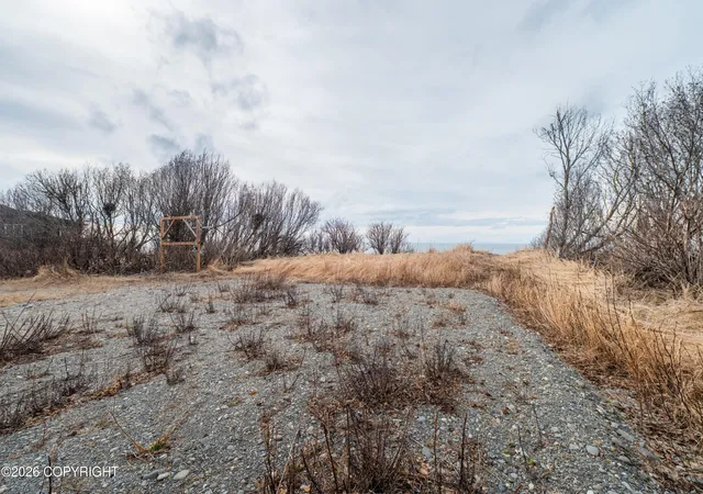 Photo 4 of Land for sale at 67380 Halibut Rd, Ninilchik, AK 99639 | MLS# 26-4889 | Listing updated on 2026-07-25