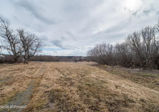 Photo 5 of Land for sale at 67380 Halibut Rd, Ninilchik, AK 99639 | MLS# 26-4889 | Listing updated on 2026-07-25
