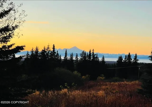 Homes for sale in Anchor Point, AK | 64427 Trail Rd, Anchor Point, AK 99556 | MLS# 26-4893