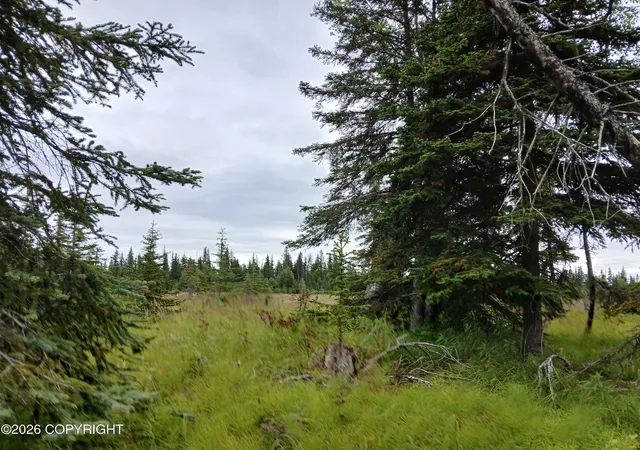 Homes for sale in Anchor Point, AK | L17 Marik St, Anchor Point, AK 99556 | MLS# 26-4958