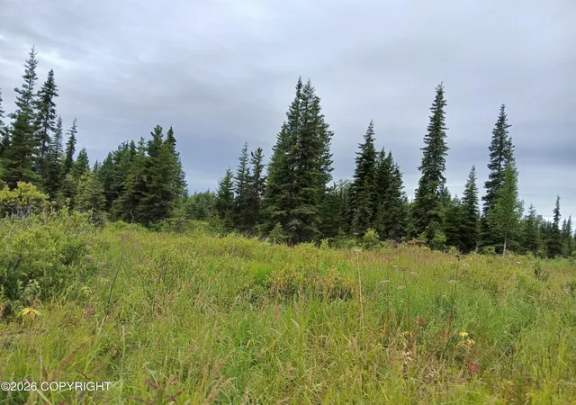 Homes for sale in Anchor Point, AK | L17 Marik St, Anchor Point, AK 99556 | MLS# 26-4958