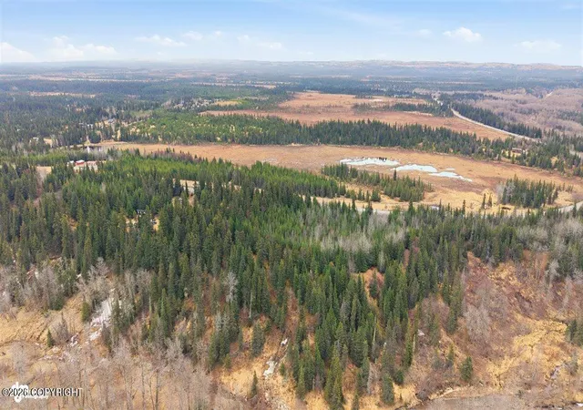 Photo 2 of Land for sale at Mi 158 Sterling Hwy, Anchor Point, AK 99556 | MLS# 26-5282 | Listing updated on 2026-05-13