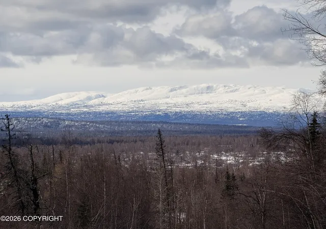 1st image of Na E Chief Nicolai Ln, Talkeetna, AK 99676 | MLS# 26-5002