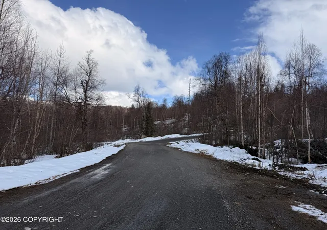 Photo 3 of Land for sale at A014 E Chief Nicolai Ln, Talkeetna, AK 99676 | MLS# 26-5002 | Listing updated on 2026-05-14