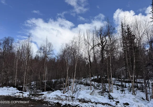 Photo 4 of Land for sale at A014 E Chief Nicolai Ln, Talkeetna, AK 99676 | MLS# 26-5002 | Listing updated on 2026-05-14