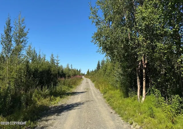 Photo 3 of Land for sale at 25850 Stinkbug St, Anchor Point, AK 99556 | MLS# 26-4996 | Listing updated on 2026-08-30