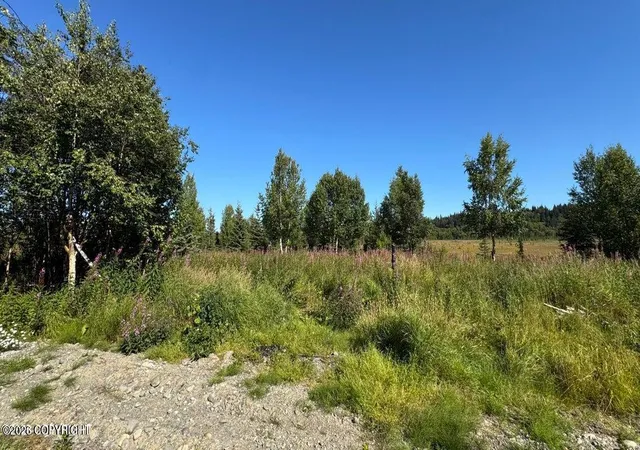 Photo 4 of Land for sale at 25850 Stinkbug St, Anchor Point, AK 99556 | MLS# 26-4996 | Listing updated on 2026-08-30