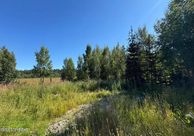 Photo 5 of Land for sale at 25850 Stinkbug St, Anchor Point, AK 99556 | MLS# 26-4996 | Listing updated on 2026-08-30