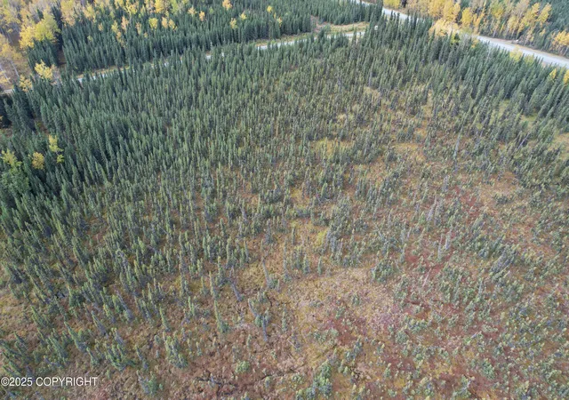 15th image of 35571 Funny River Rd, Soldotna, AK 99669 | MLS# 26-5031
