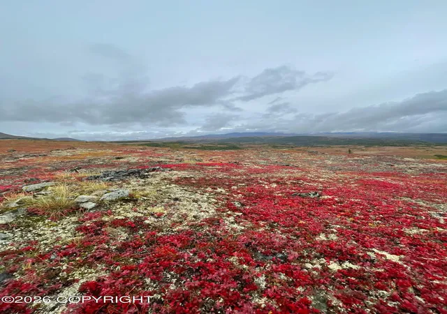 1st image of Asls80 176 Bald Mtn B19 L4, Talkeetna, AK 99676 | MLS# 26-5138