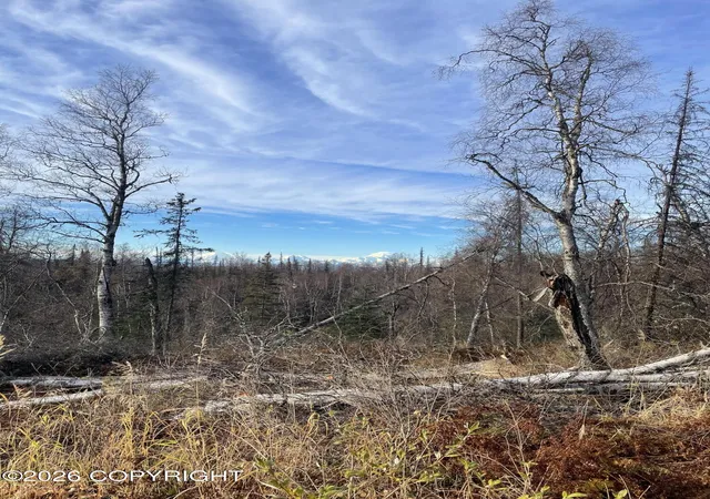 2nd image of Asls80 176 Bald Mtn B19 L4, Talkeetna, AK 99676 | MLS# 26-5138