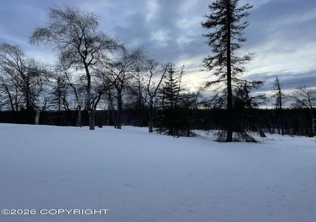 Photo 3 of Land for sale at L4 Asls 80 176, Talkeetna, AK 99676 | MLS# 26-5138 | Listing updated on 2026-05-11
