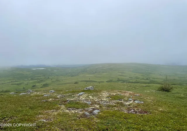 Photo 4 of Land for sale at L4 Asls 80 176, Talkeetna, AK 99676 | MLS# 26-5138 | Listing updated on 2026-05-11