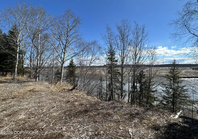 Homes for sale in Kasilof, AK | 27264 Tideland St, Kasilof, AK 99610 | MLS# 26-5120