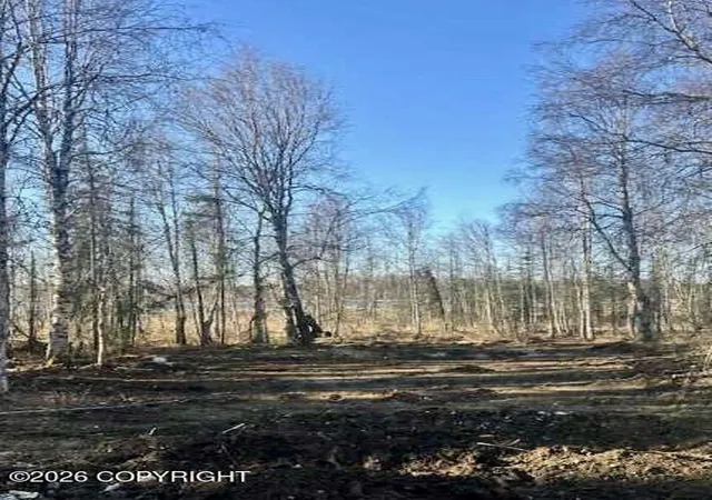 Photo 2 of Land for sale at 13026 N Pettis Dr, Willow, AK 99688 | MLS# 26-5127 | Listing updated on 2026-06-20