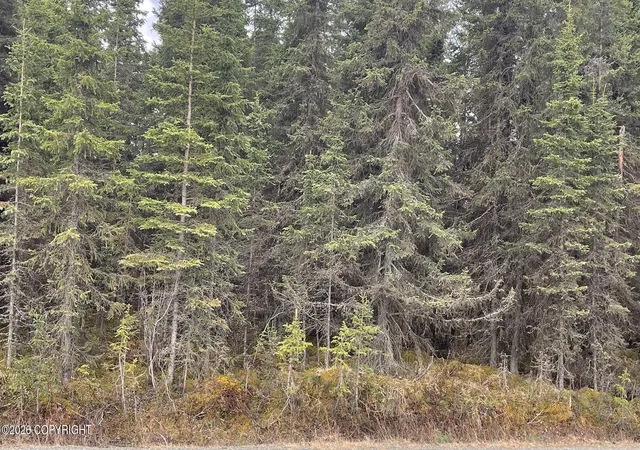 Photo 3 of Land for sale at 675 E Redoubt Ave, Soldotna, AK 99669 | MLS# 26-5139 | Listing updated on 2026-08-17