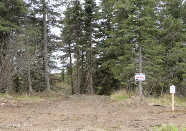 Homes for sale in Clam Gulch, AK | L1 Sterling Hwy, Clam Gulch, AK 99568 | MLS# 26-5201