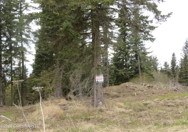 Homes for sale in Clam Gulch, AK | L2 Sterling Hwy, Clam Gulch, AK 99568 | MLS# 26-5202
