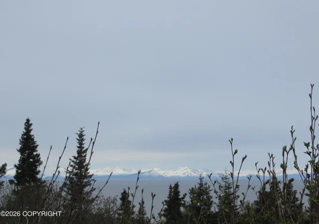 Homes for sale in Clam Gulch, AK | L3 Sterling Hwy, Clam Gulch, AK 99568 | MLS# 26-5204
