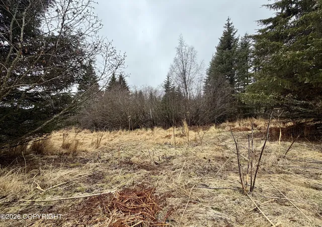 Photo 3 of Land for sale at 1611 E End Rd, Homer, AK 99603 | MLS# 26-5305 | Listing updated on 2026-07-09
