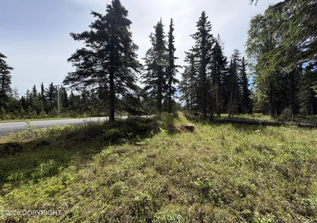 Homes for sale in Kasilof, AK | 000 Cohoe Loop Rd, Kasilof, AK 99610 | MLS# 26-5340