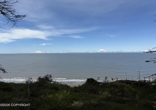 Homes for sale in Kasilof, AK | 000 Cohoe Loop Rd, Kasilof, AK 99610 | MLS# 26-5340