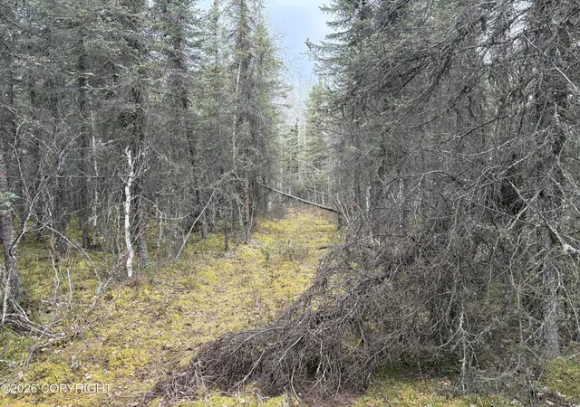 Photo 4 of Land for sale at 7001 W Captain Hook Dr, Wasilla, AK 99623 | MLS# 26-5591 | Listing updated on 2026-08-23