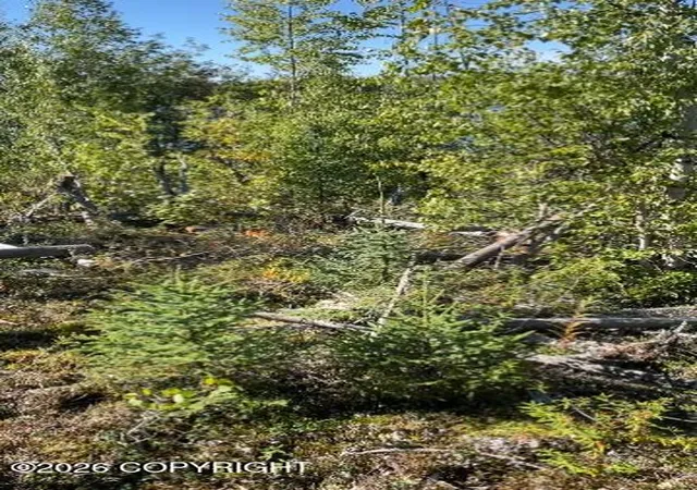 3rd image of 5280 S Horseshoe Lake Rd, Big Lake, AK 99652 | MLS# 26-5343