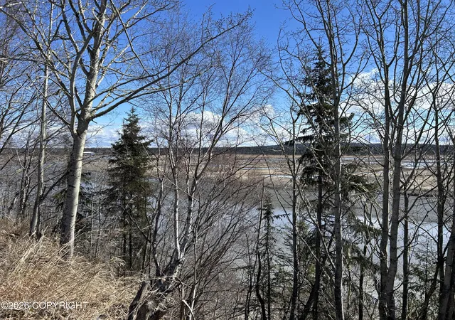 5th image of 27264 Tideland St, Kasilof, AK 99610 | MLS# 26-5323