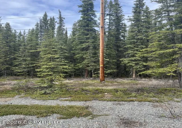 1st image of 0 Tract L Block 5,survey # 77 16, Tok, AK 99780 | MLS# 26-5390