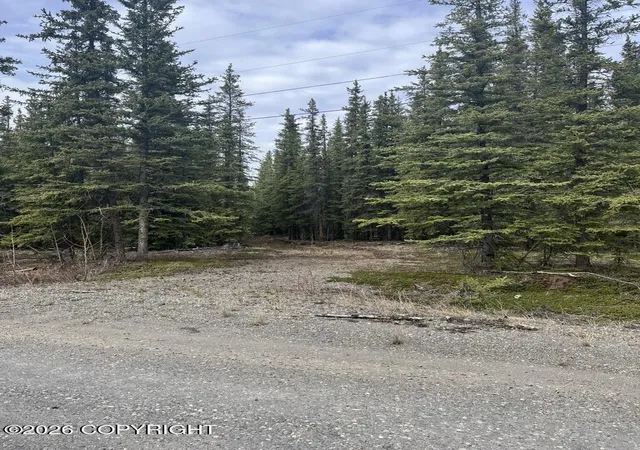 2nd image of 0 Tract L Block 5,survey # 77 16, Tok, AK 99780 | MLS# 26-5390