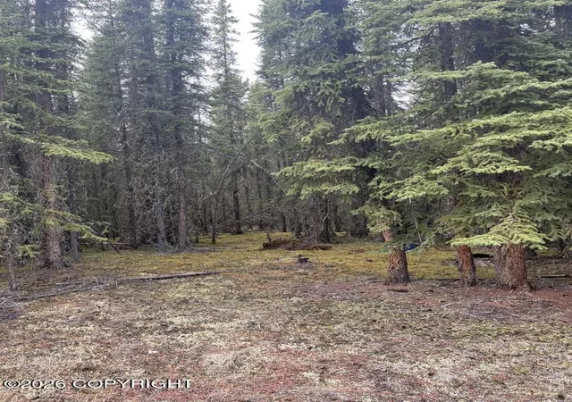 4th image of 0 Tract L Block 5,Survey # 77-16, Tok, AK 99780 | MLS# 26-5390