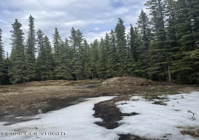 5th image of 0 Tract L Block 5,survey # 77 16, Tok, AK 99780 | MLS# 26-5390