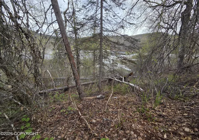 2nd image of Tract A Asls 84 130, Talkeetna, AK 99676 | MLS# 26-5915