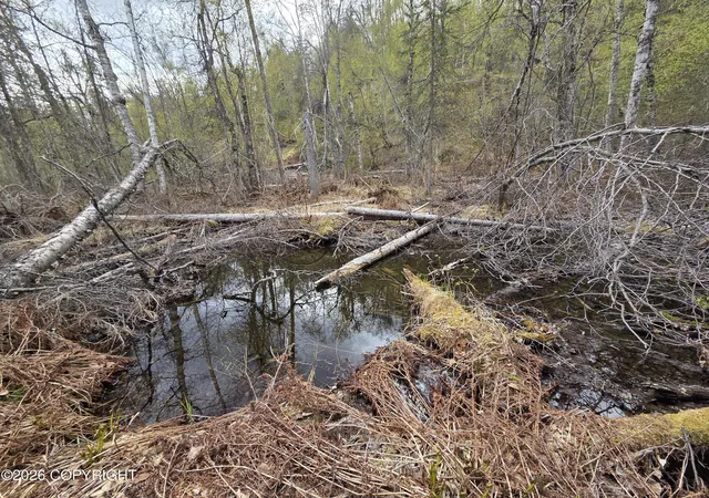 9th image of Tract A Asls 84 130, Talkeetna, AK 99676 | MLS# 26-5915
