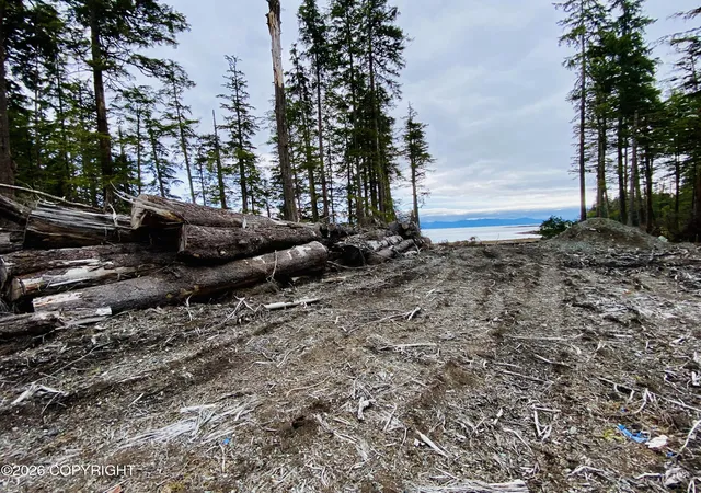 14th image of L16,17,18 Etolin View Subdivision, Coffman Cove, AK 99918 | MLS# 26-5399