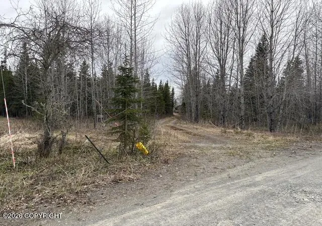 Homes for sale in Ninilchik, AK | 64575 Alice Ann Dr, Ninilchik, AK 99639 | MLS# 26-6583
