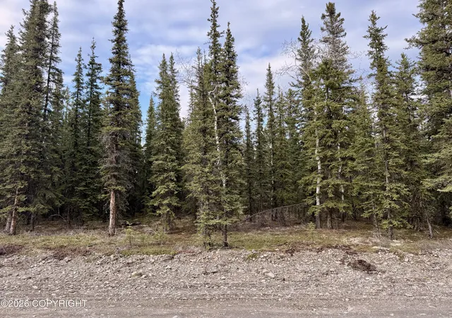 1st image of L14b9 Pringle Rd, Tok, AK 99780 | MLS# 26-5530
