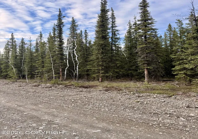 2nd image of L14b9 Pringle Rd, Tok, AK 99780 | MLS# 26-5530