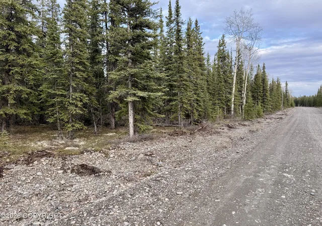 3rd image of L14B9 Pringle Rd, Tok, AK 99780 | MLS# 26-5530