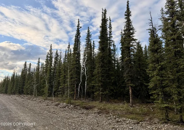 4th image of L14B9 Pringle Rd, Tok, AK 99780 | MLS# 26-5530