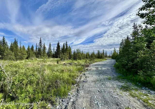 Photo 3 of Land for sale at 34895 N Fork Rd, Anchor Point, AK 99556 | MLS# 26-5837 | Listing updated on 2026-08-24