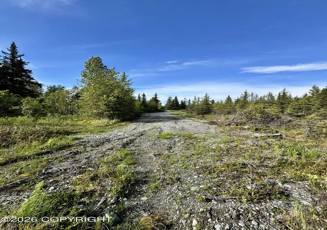 Photo 3 of Land for sale at 34895 N Fork Rd, Anchor Point, AK 99556 | MLS# 26-5837 | Listing updated on 2026-08-24