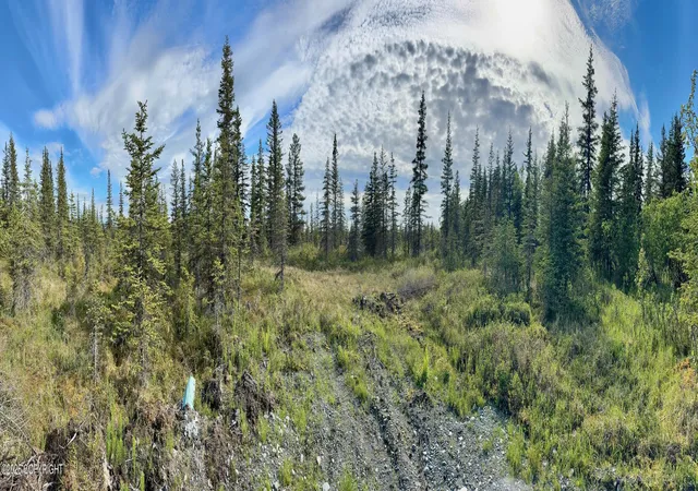 Photo 4 of Land for sale at 34895 N Fork Rd, Anchor Point, AK 99556 | MLS# 26-5837 | Listing updated on 2026-08-24